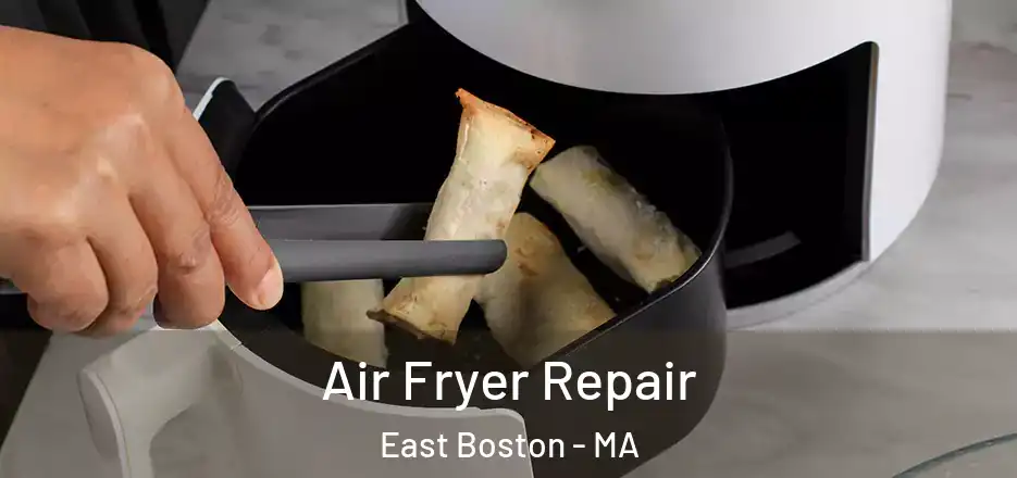 Air Fryer Repair East Boston - MA