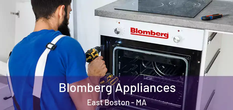  Blomberg Appliances East Boston - MA