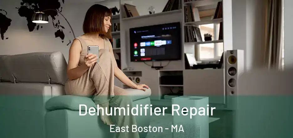 Dehumidifier Repair East Boston - MA