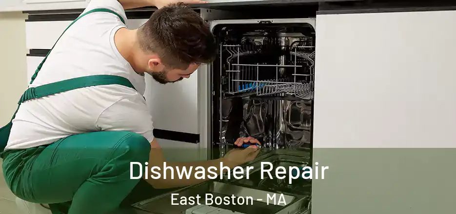 Dishwasher Repair East Boston - MA