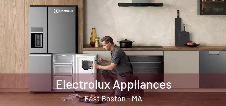  Electrolux Appliances East Boston - MA