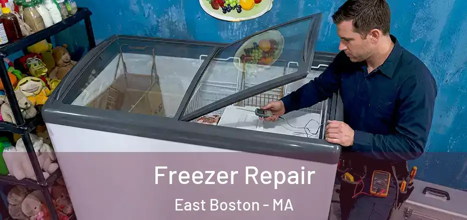 Freezer Repair East Boston - MA