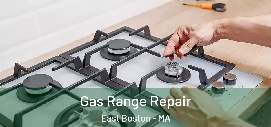 Gas Range Repair East Boston - MA