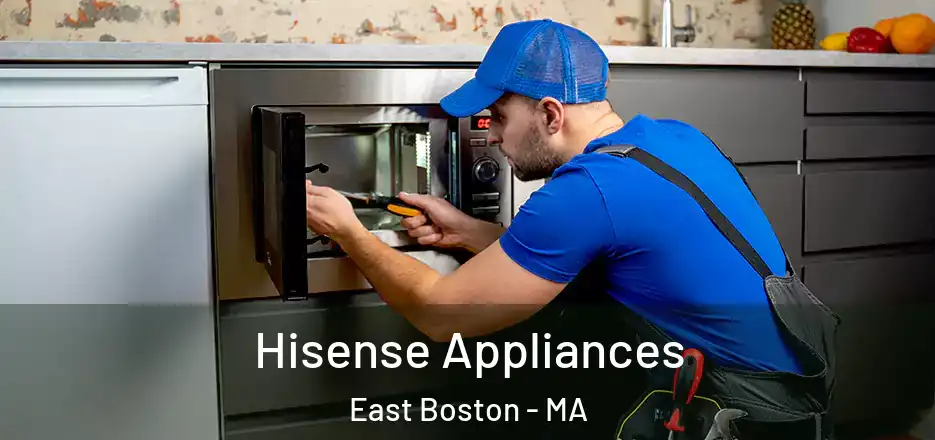  Hisense Appliances East Boston - MA