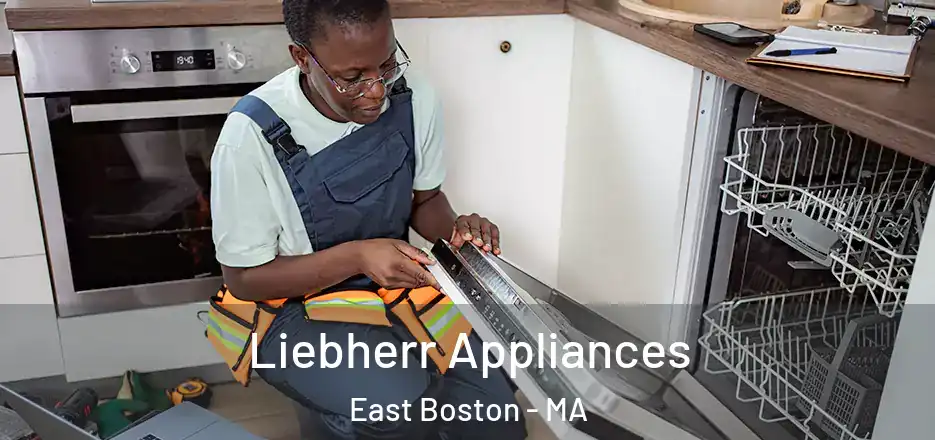 Liebherr Appliances East Boston - MA