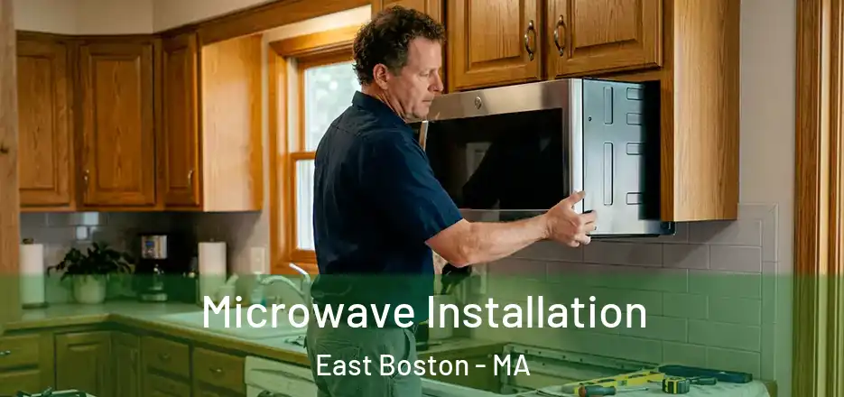 Microwave Installation East Boston - MA