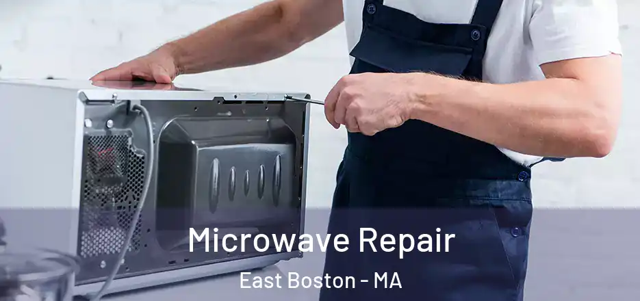 Microwave Repair East Boston - MA