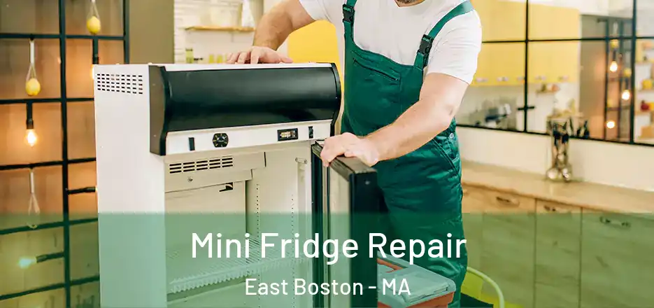 Mini Fridge Repair East Boston - MA