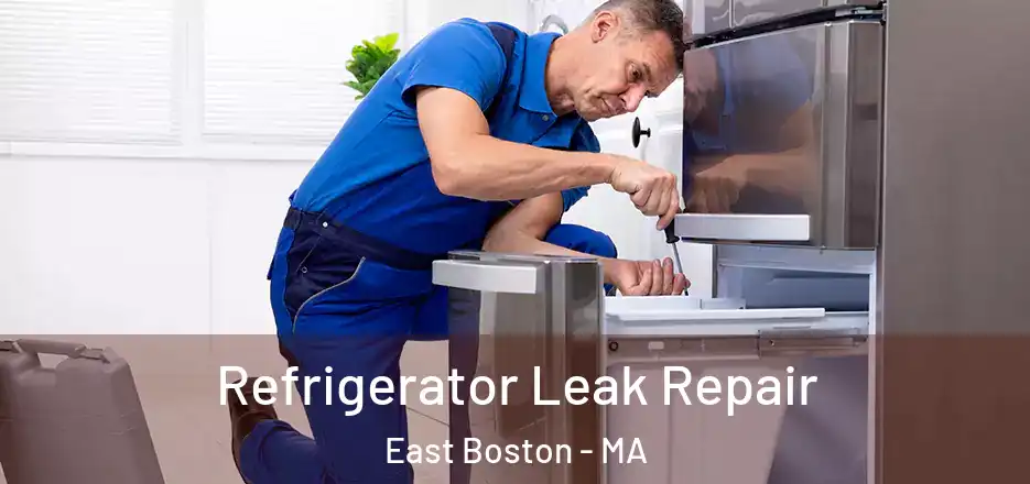 Refrigerator Leak Repair East Boston - MA
