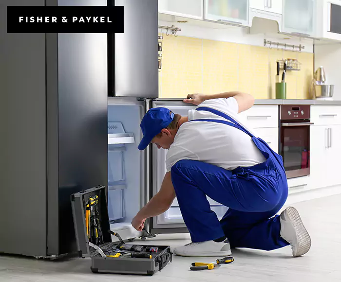 Top-Rated Fisher & Paykel Appliance Experts: Your Brand Specialist in East Boston, MA