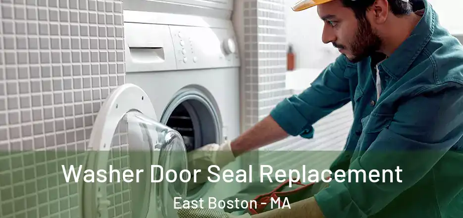 Washer Door Seal Replacement East Boston - MA